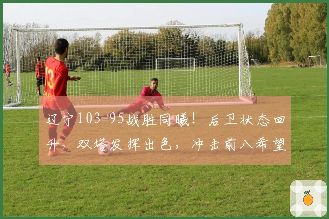 辽宁103-95战胜同曦！后卫状态回升，双塔发挥出色，冲击前八希望大！