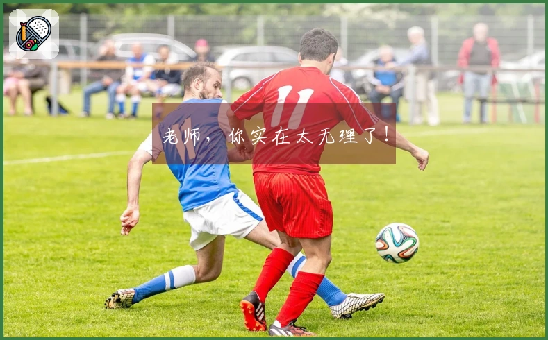 老师，你实在太无理了！