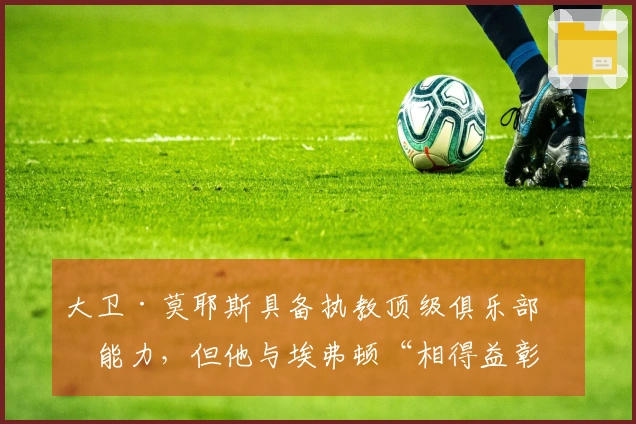 大卫·莫耶斯具备执教顶级俱乐部的能力，但他与埃弗顿“相得益彰”，使我们独具特色